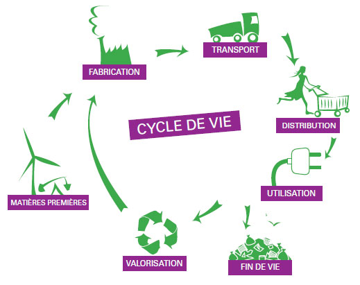 cycle-vie