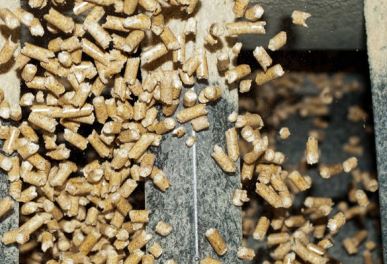 pellets.JPG